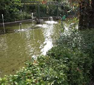 Erlebnispark Tripsdrill