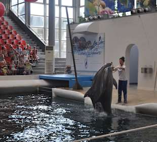 Delfinarium w Warnie