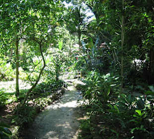 Ausflug Ocho Rios - Botan.Garten