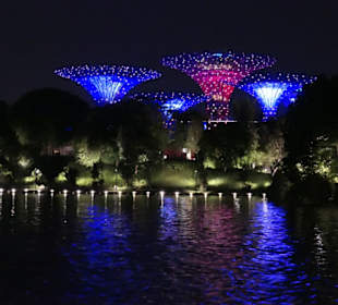 Gardens by the Bay abends
