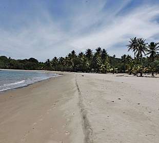 Tropical Beach Safari - Puerto Plata - DomRep Lifestyle - Ex