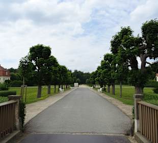 Schloss Moritzburg