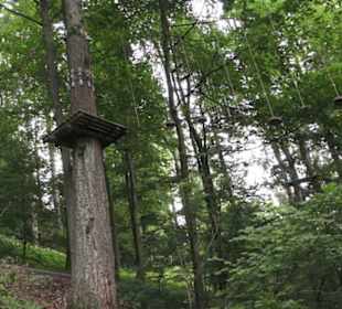 Natur-Hochseilgarten Triberg
