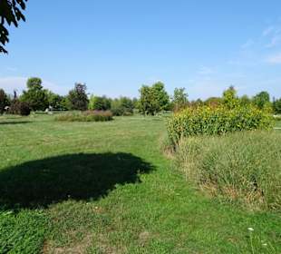 Der sommerliche Baumpark Thedinghausen