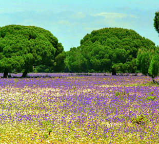 Wandern Conil de la Frontera