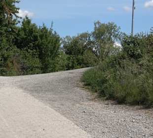 Früchtetrauf - Wurmlinger Kapellenwegle