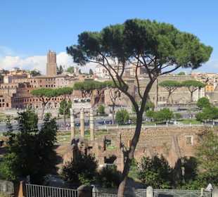 Forum Romanum