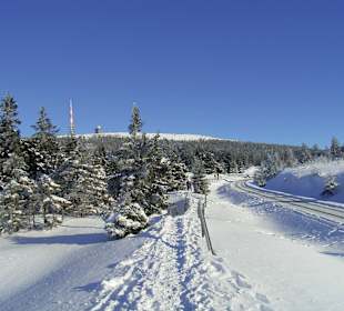 Nationalpark Harz im Winter