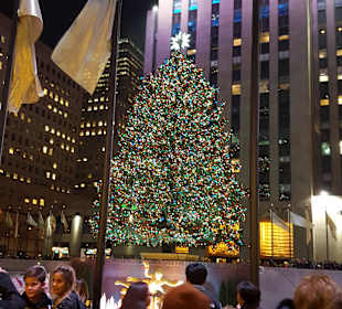 Christmas Tree Rockefeller Center