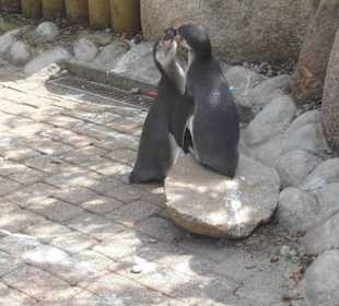 Weltvogelpark Walsrode