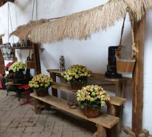 Der Besitzer ist ein Rosenfreund