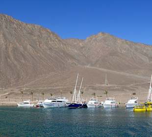 Dahab