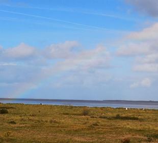 Strand Schillig