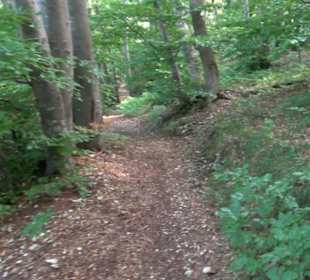 Tour entlang der Traifelbergfelsen