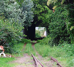 Verwilderter Tunnel