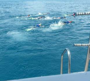 Und alle Mann ins Wasser