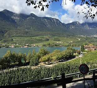 Die hälfte Geschaft