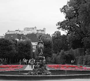 Mirabellgarten