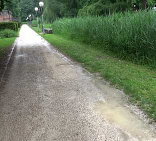 Forellenbächle Glacis Park