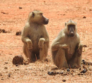 Tsavo-East-Nationalpark