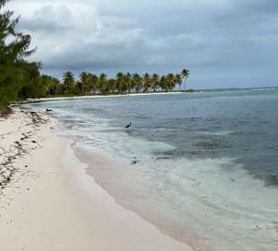 Schöner Sandstrand 