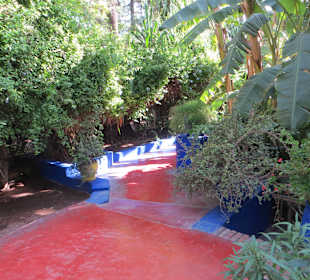 Eindrücke aus dem Jardin Majorelle Garten