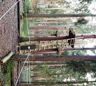 Wegverlauf Kletterwald