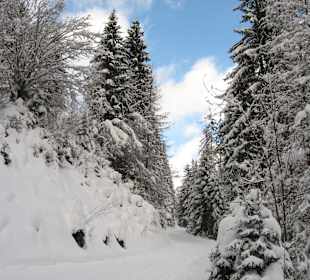 Path near Lautenbrunnen
