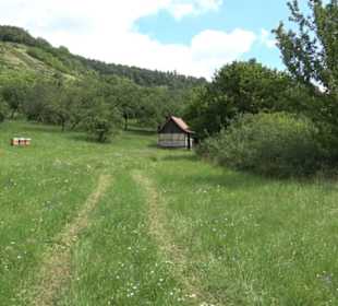 Wanderweg Ammerbucher Gigeleswegle