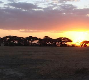 Sonnenuntergang im Amboseli
