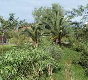 Unterwegs im Taoro-Park