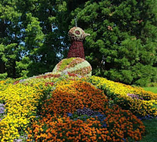 Pfau aus verschiedenen Blumen gemacht
