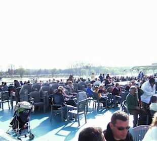 Rhein-Schifffahrt mit der Köln - Düsseldorfer