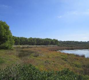 Wanderung durch Es Grau 