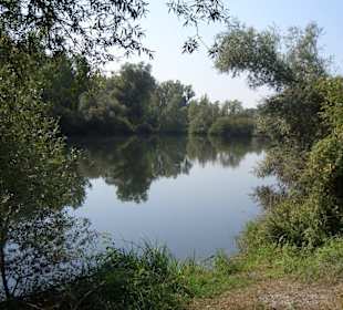 Naturschutzgebiet Taubergießen