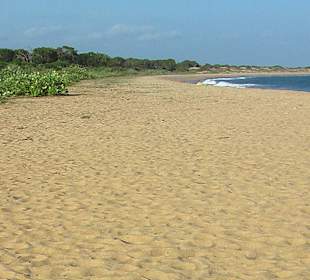 Linke Seite der Beach