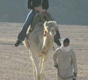 Une jeune femme sur un dromadaire