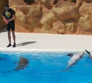 Loro Parque 