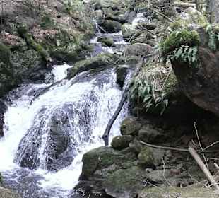 Wandern Hinterzarten