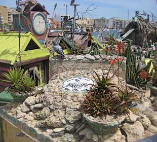 Duck's Village
