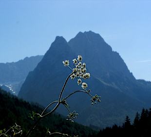 Zugspitze (rechts) und Waxenstein