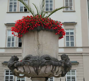 Im Mirabellgarten von Salzburg
