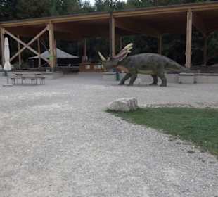 Dinosaurier Museum Altmühltal