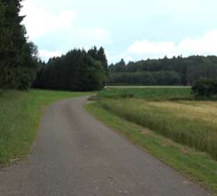 Wanderung Froschteich-Tour