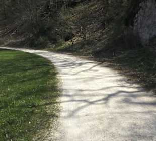 Waldlehrpfad an der Lauter