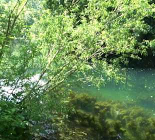 Mittlerer Gönninger See