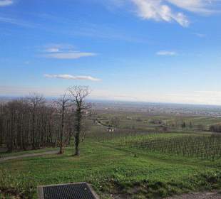Blick vom Schloss Villa Ludwigshöhe