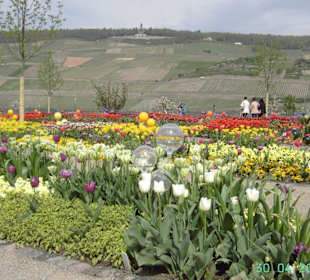 Aussicht am Eingang der Gartenstadt