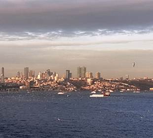 Ausblick von Bord der Costa Pacifica