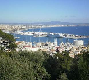 Der Hafen von Palma de Mallorca